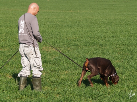 Training in Prague 3/2007